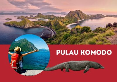 TOUR KOMODO ISLAND