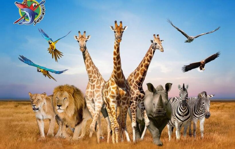 Paket Tour Bangkok 5 Hari 4 Malam Thailand 2025 Safari World