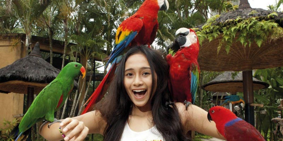 Bali Bird Park