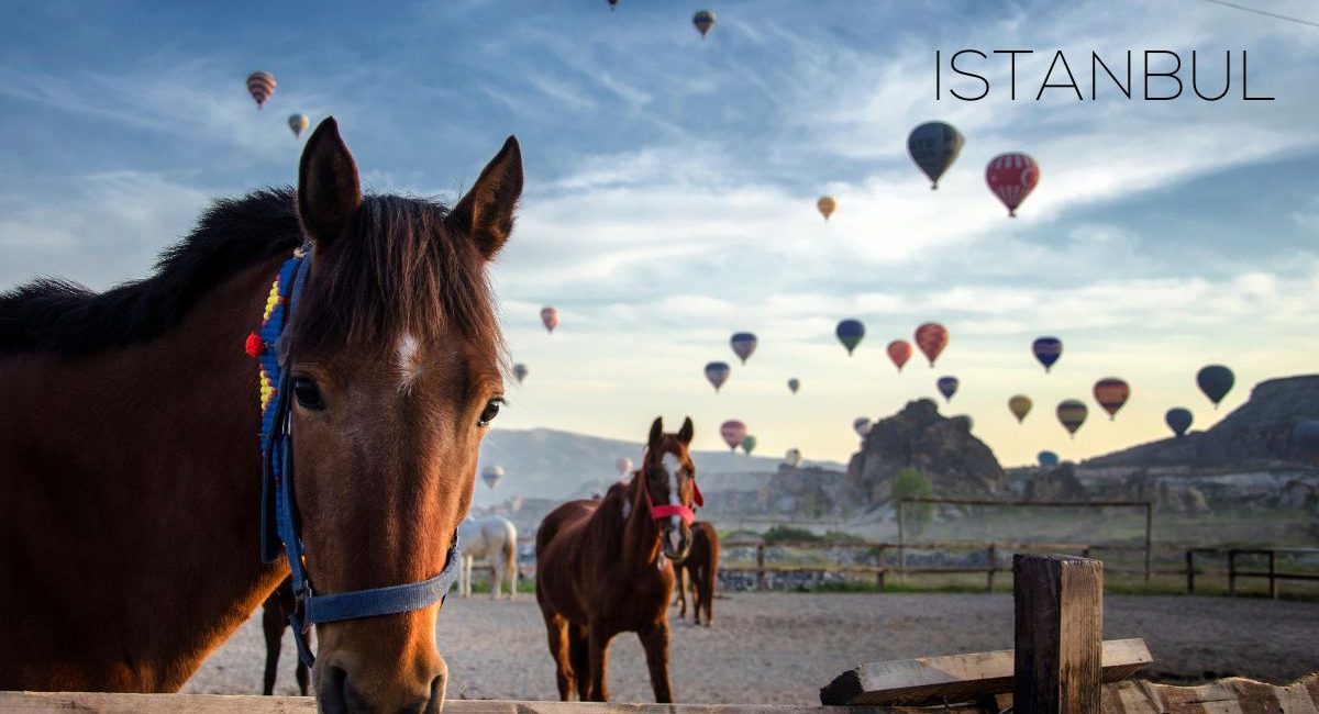 Cappadocia Turkey 3