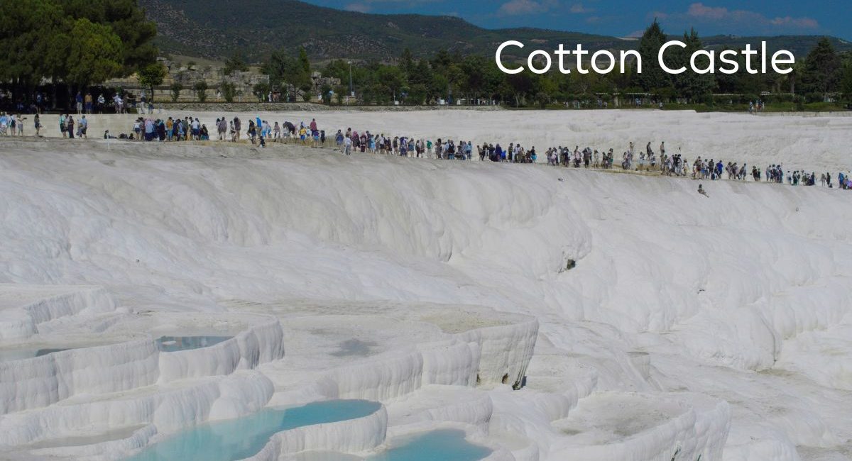 Cotton Castle