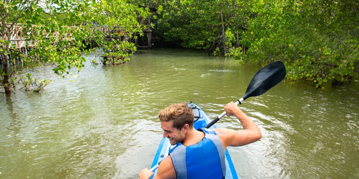 Mangrove Kayaking