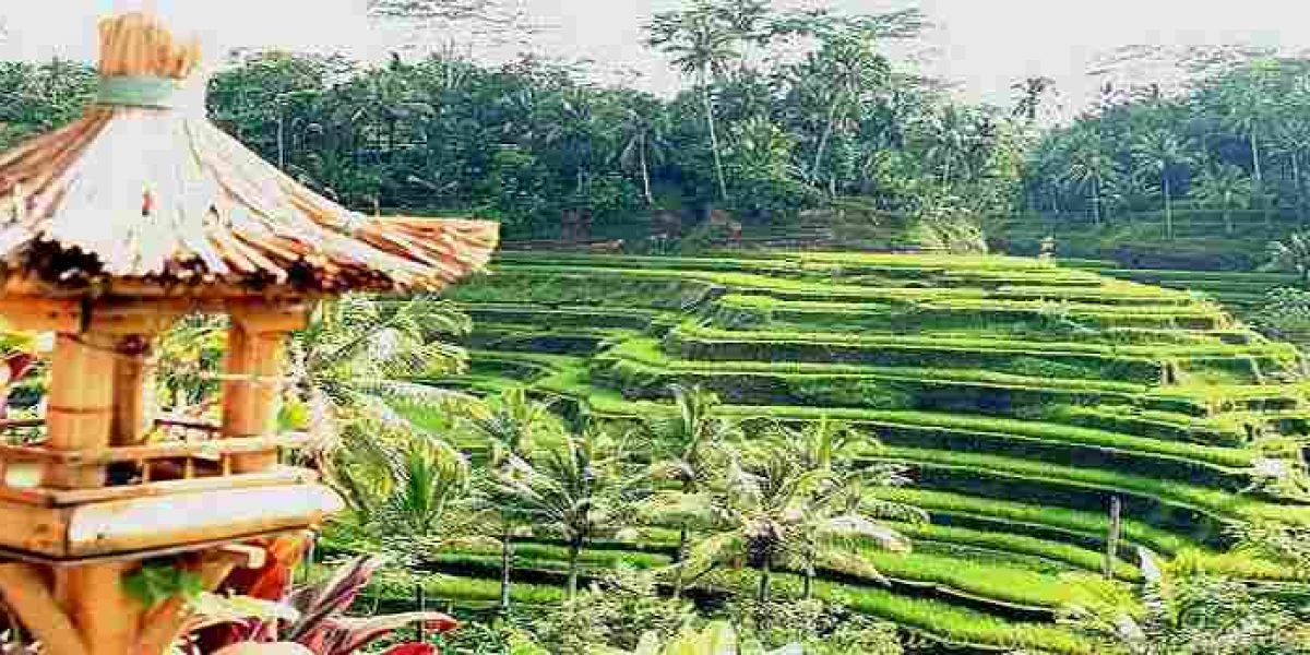 Sawah tegalalang